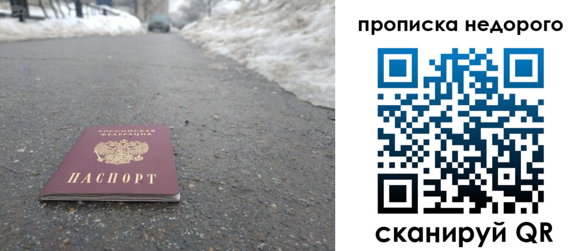 прописка в Московской области